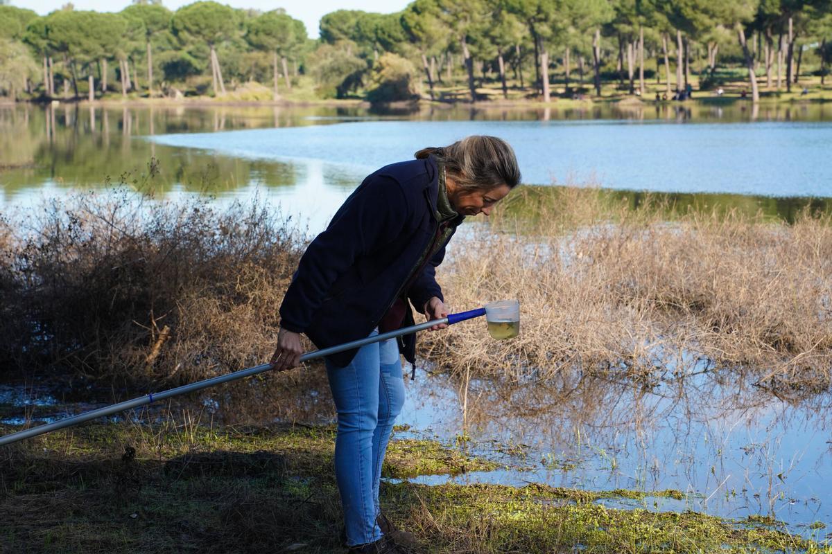 Campaña contra los mosquitos transmisores del virus del Nilo en Villamanrique de la Condesa.