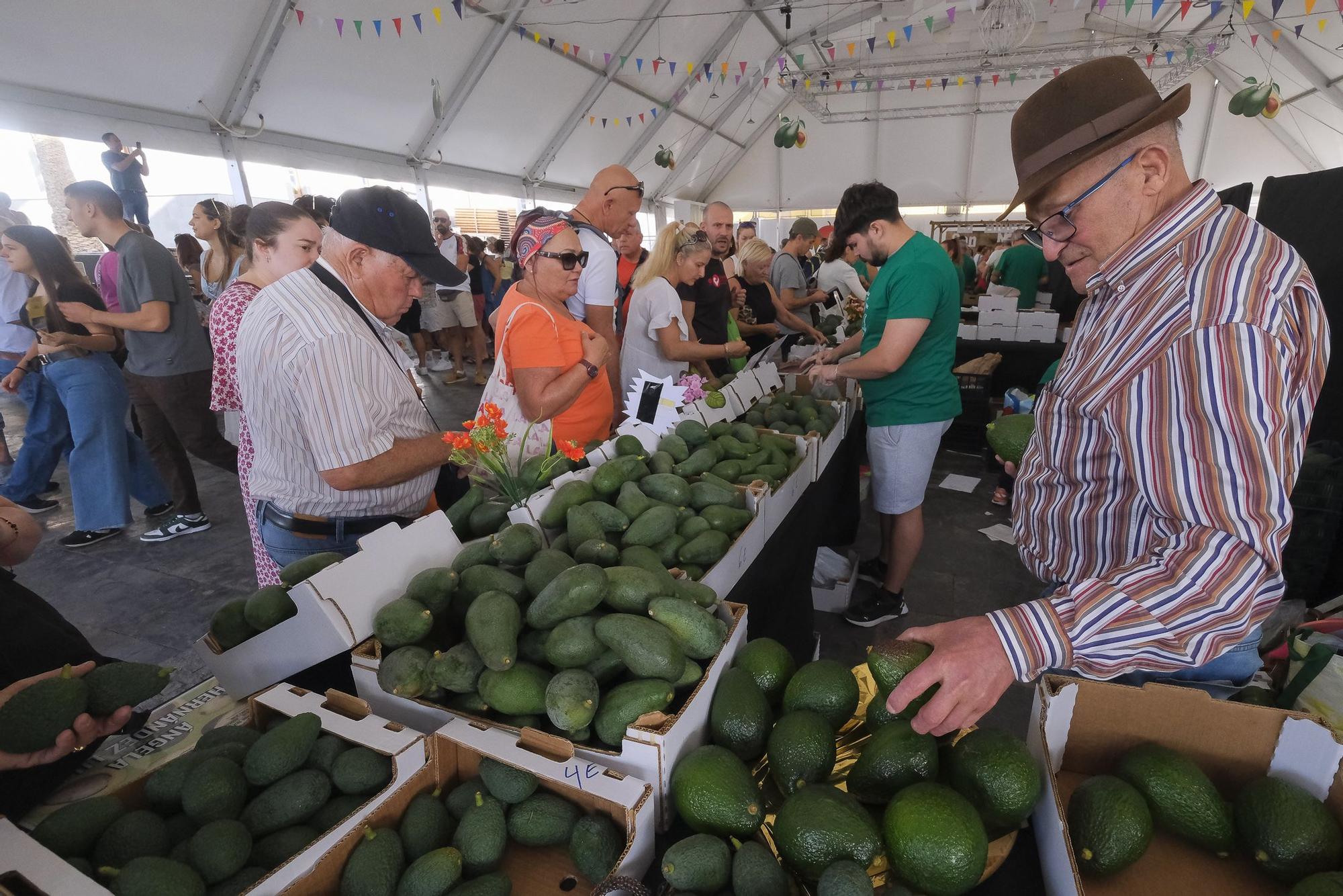 04-11-2024 MOGÁN. IX Feria del Aguacate de Mogán, en Arguineguín  | 01/12/2024 | Fotógrafo: Andrés Cruz
