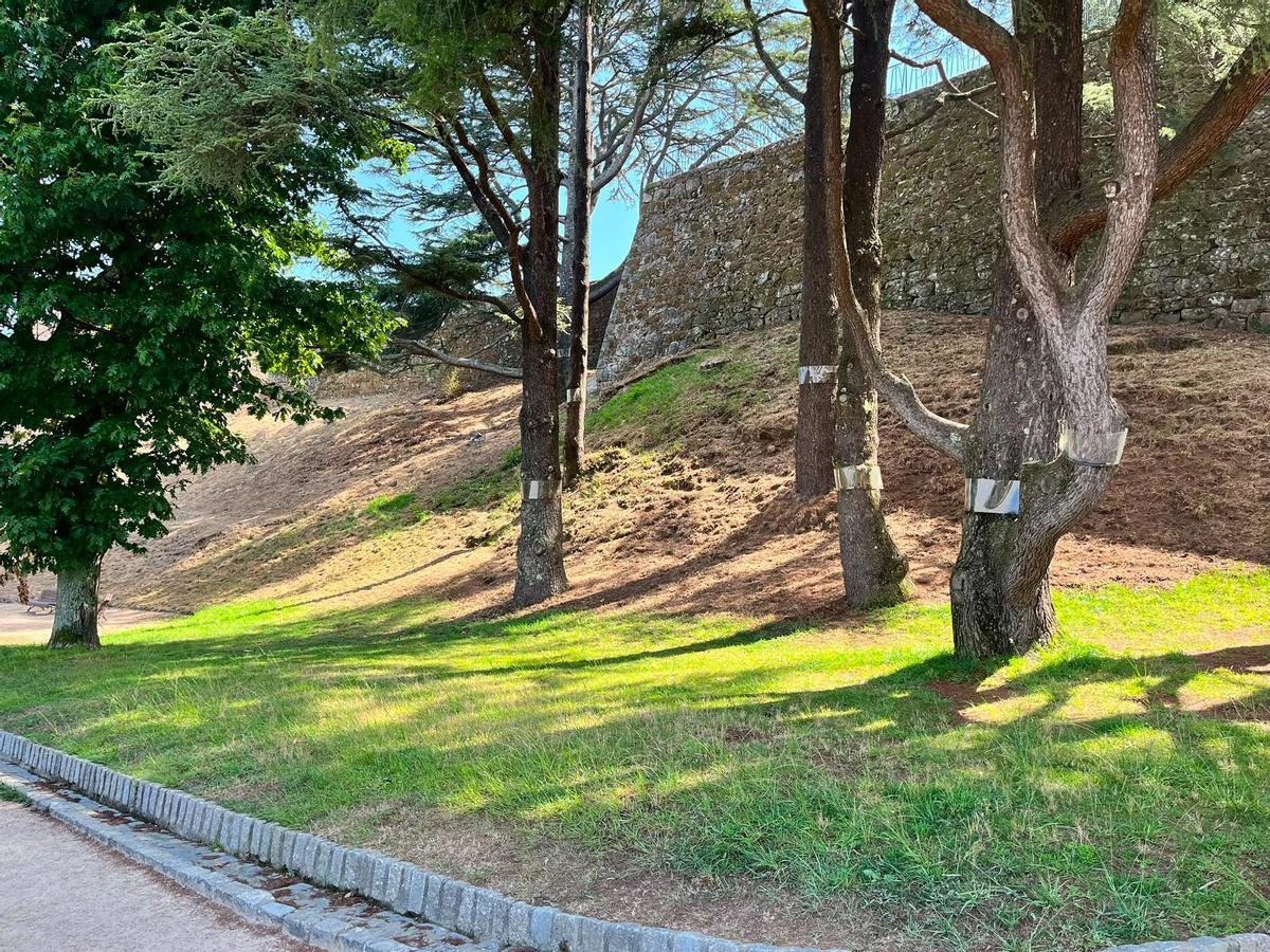 El furor por el eclipse en Vigo se hace esperar a después de comer