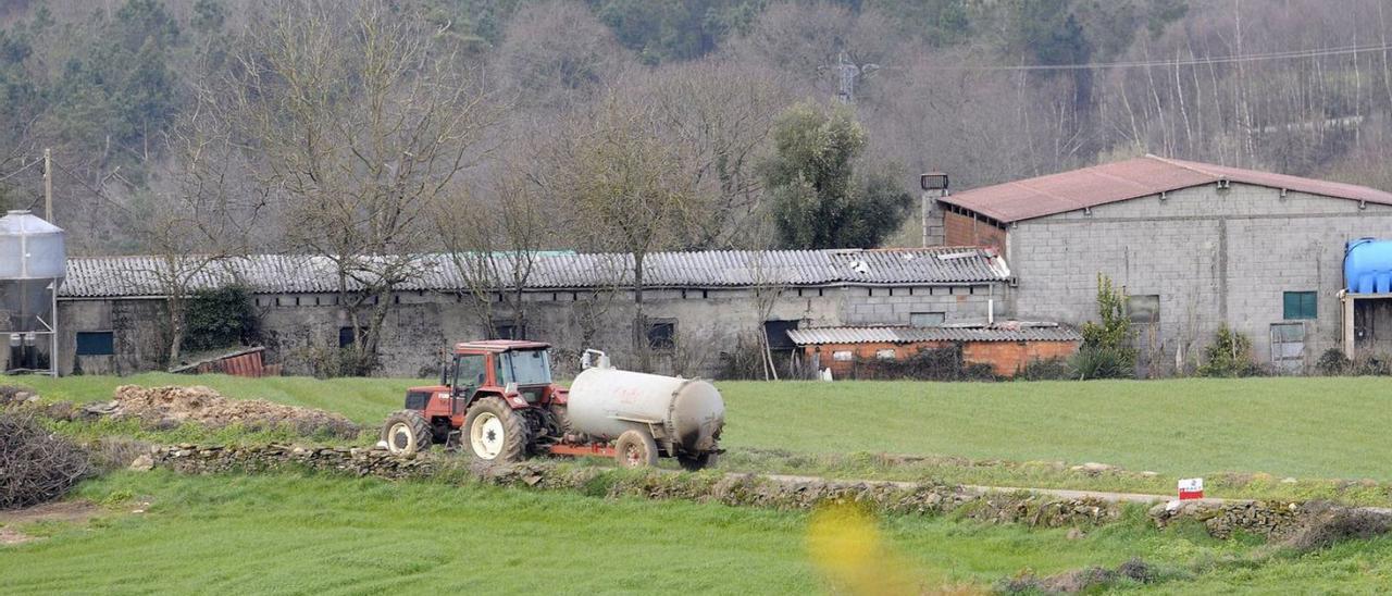 Abonado en una finca de la parroquia de Filgueira, en Lalín. |  // BERNABÉ/JAVIER LALÍN