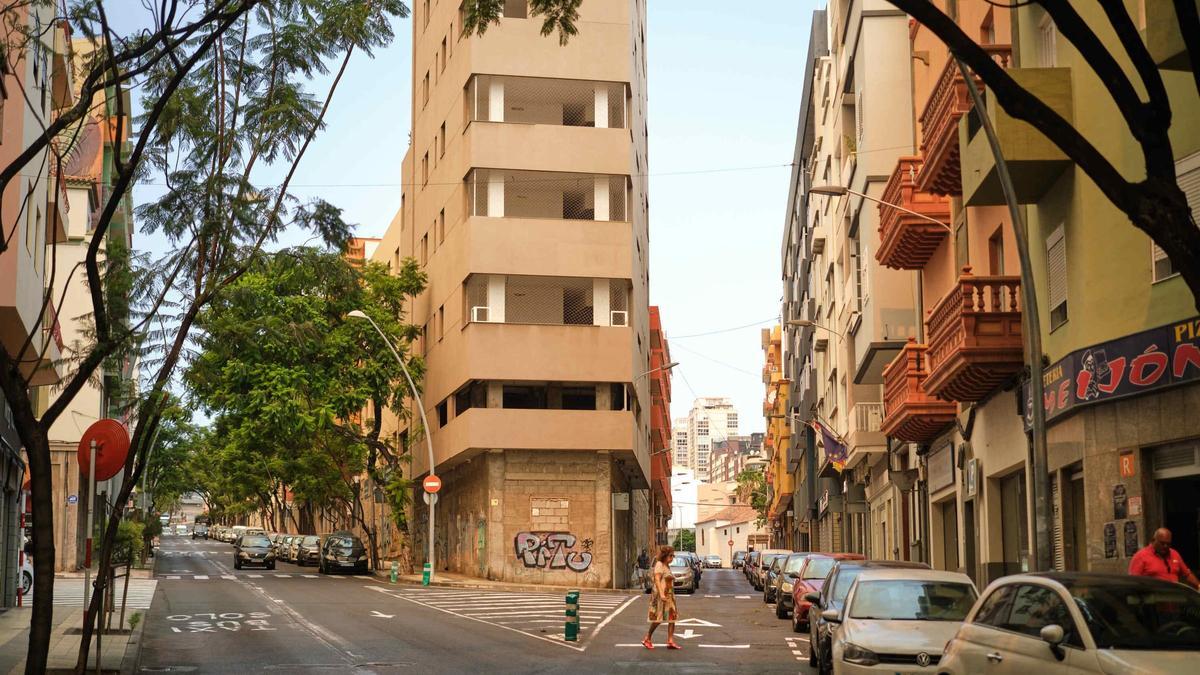 Árboles enfermos en la Avenida San Sebastián