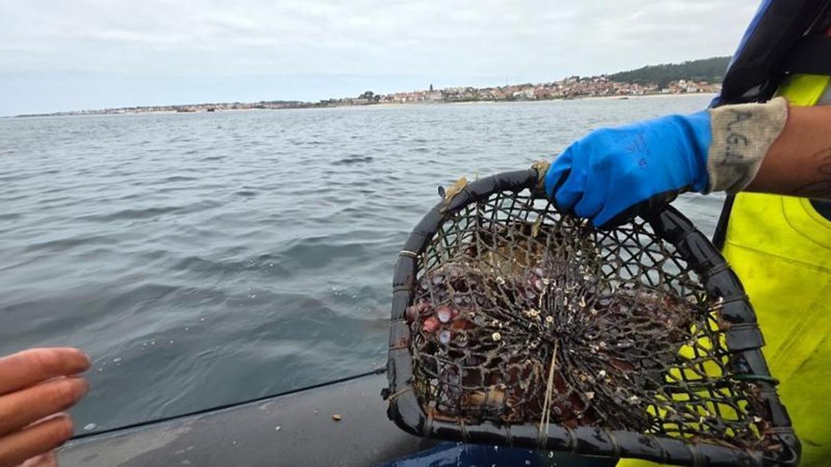 Una de las nasas levantadas por Gardacostas de Galicia.