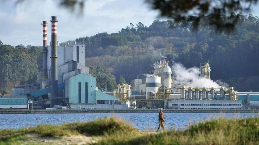 Complejo industrial de Ence en Lourizán, visto desde Poio, en la orilla opuesta de la ría. // Gustavo Santos