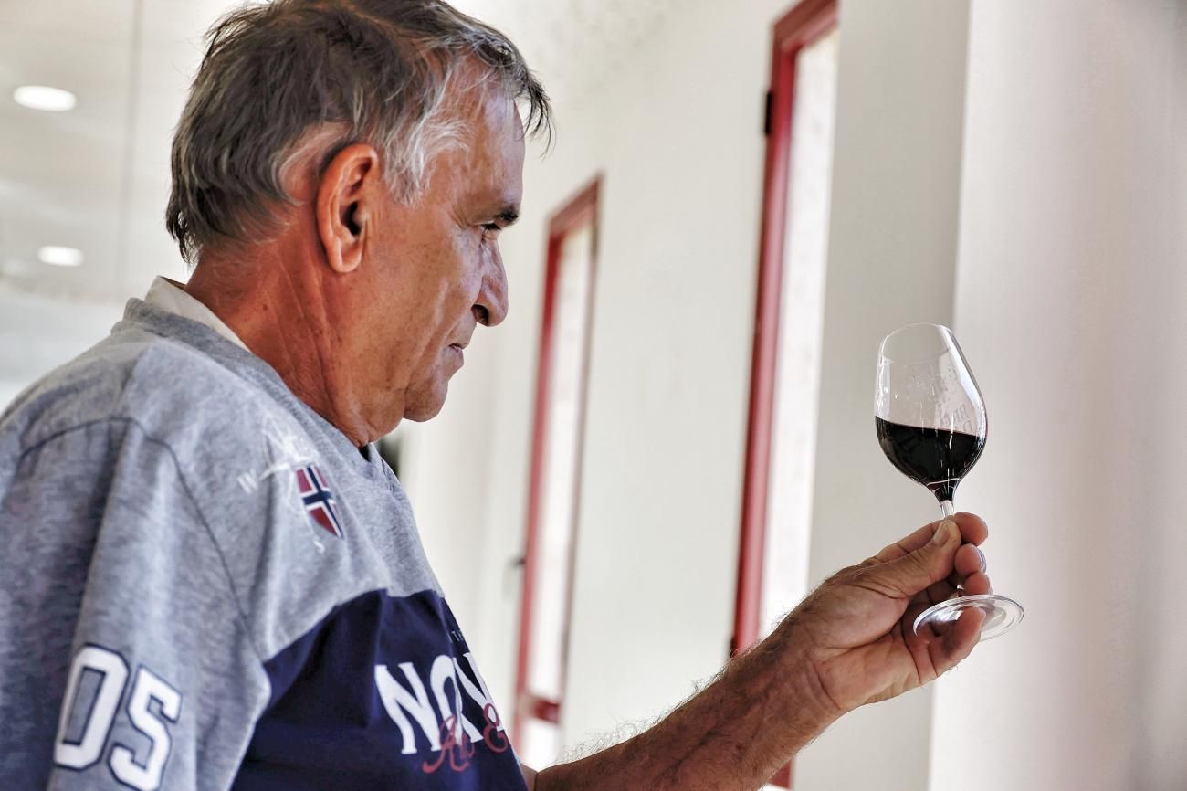 Brumas de Ayosa recibe un premio por su vino tinto