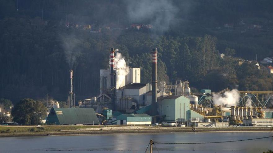 Una vista de la planta de Ence en Pontevedra. // G. Santos