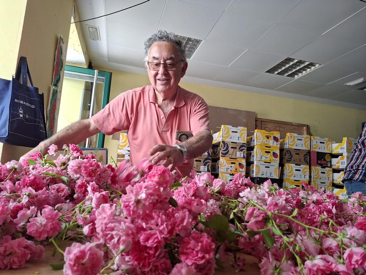 En imágenes: Los artistas florales de Castropol encaran la recta final para el Corpus Christi