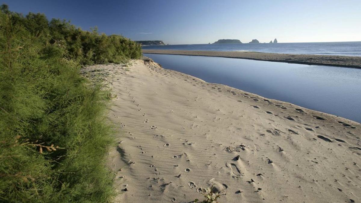 Playa de Torroella de Montgrí, en la Costa Brava