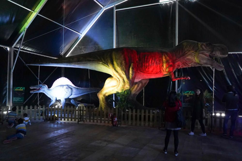 La exposición itinerante 'Dinosaurs Tour', la considerada como mayor muestra de estos animales animatrónicos a escala real se encuentra en una carpa junto al Palacio de Congresos hasta el domingo 16