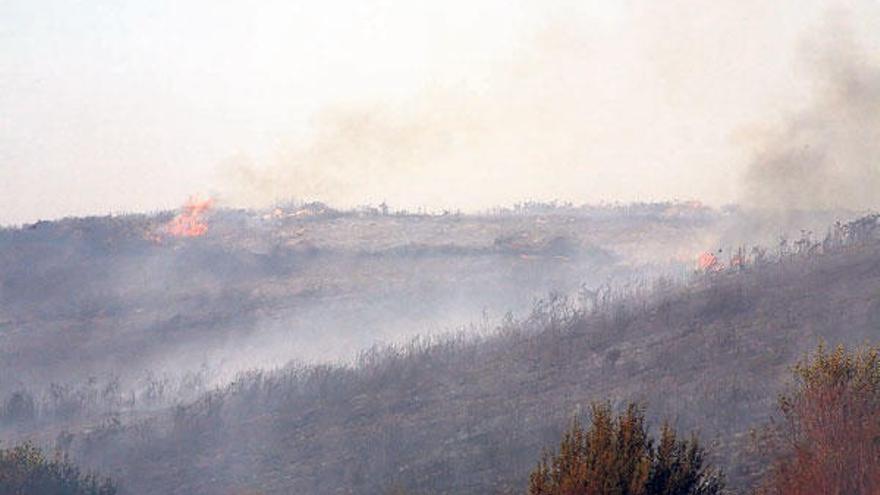 La parroquia forcaricense de Meavía registró, ayer, un nuevo incendio forestal.  // Bernabé/María Fariña