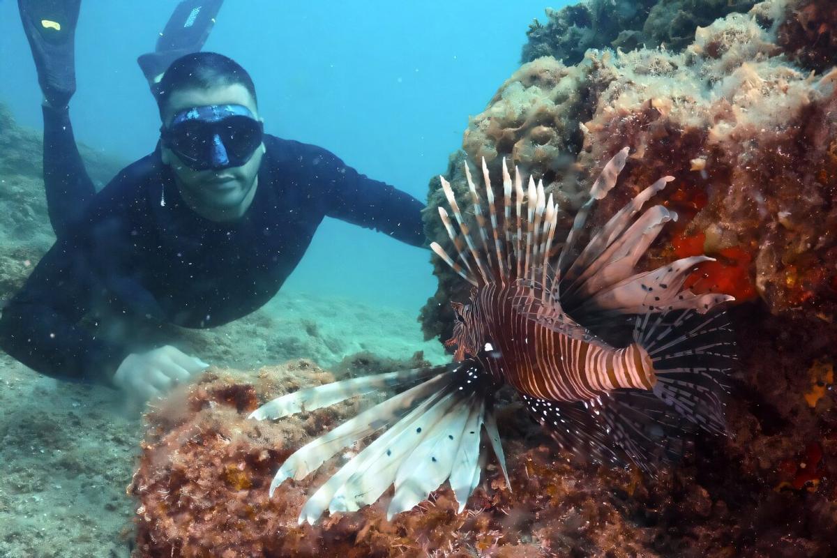 El pez león está también cada vez más presente en el Mediterráneo