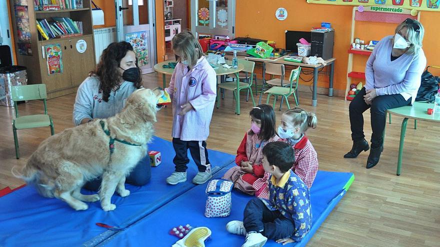 Un “alumno” peludo y de cuatro patas en las aulas