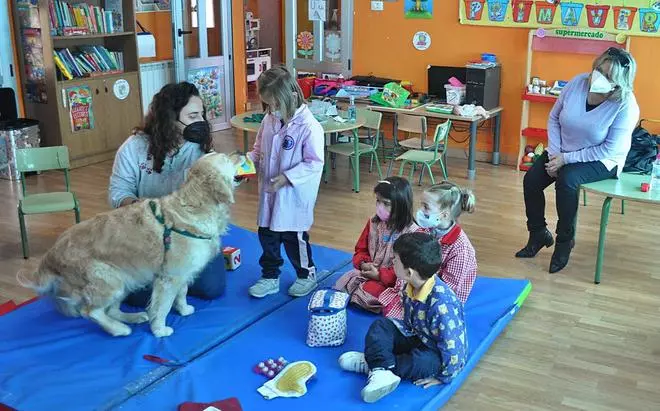 Un “alumno” peludo y de cuatro patas en las aulas