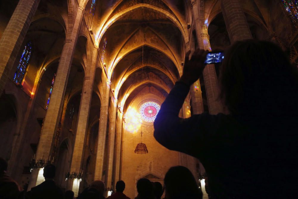 "Lichtfest" in Palmas Kathedrale zieht 3.000 Besucher an