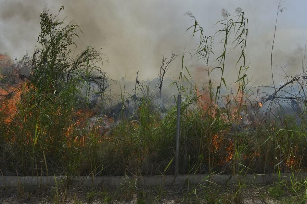 Incendio de matorral en Cabezo de Torres