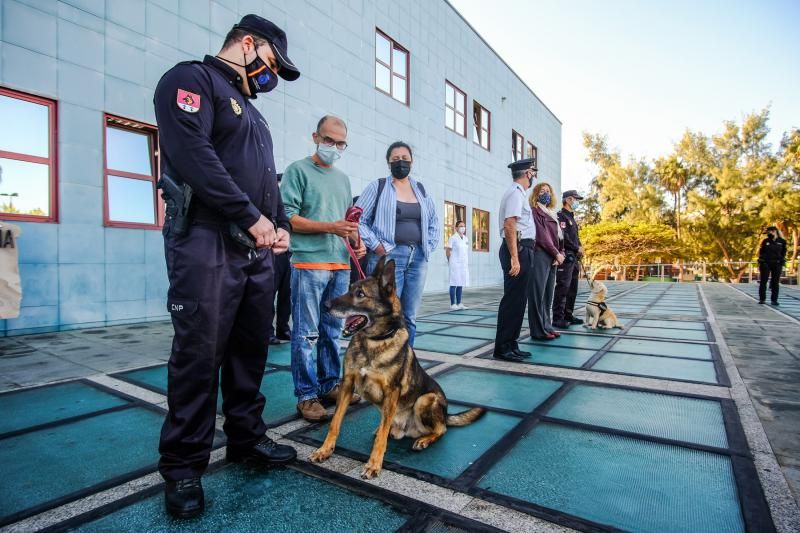 La Policía Nacional entrega en adopción a “Basco”