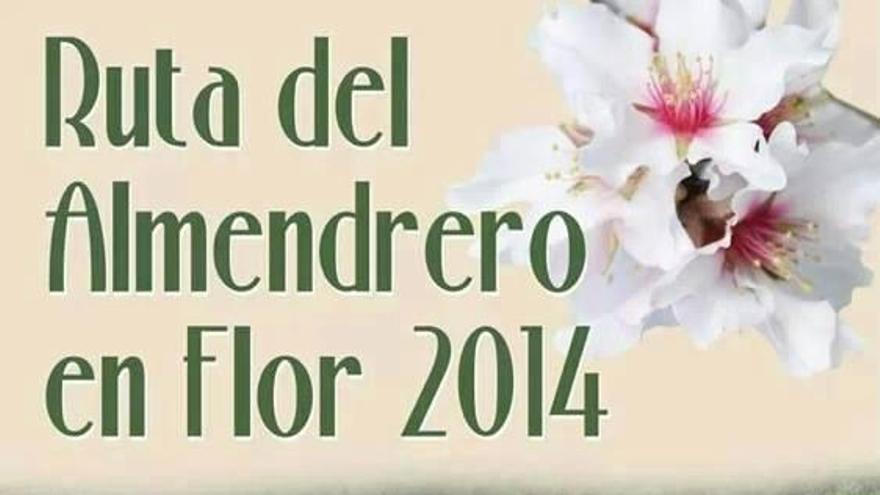 Valsequillo celebra la fiesta del Almendro en Flor