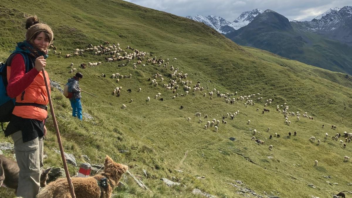 Celia, licencias en Ciencias de la Agricultura Ecológica y natural de Donosi (en primer plano), pastoreando por los Alpes suizos.