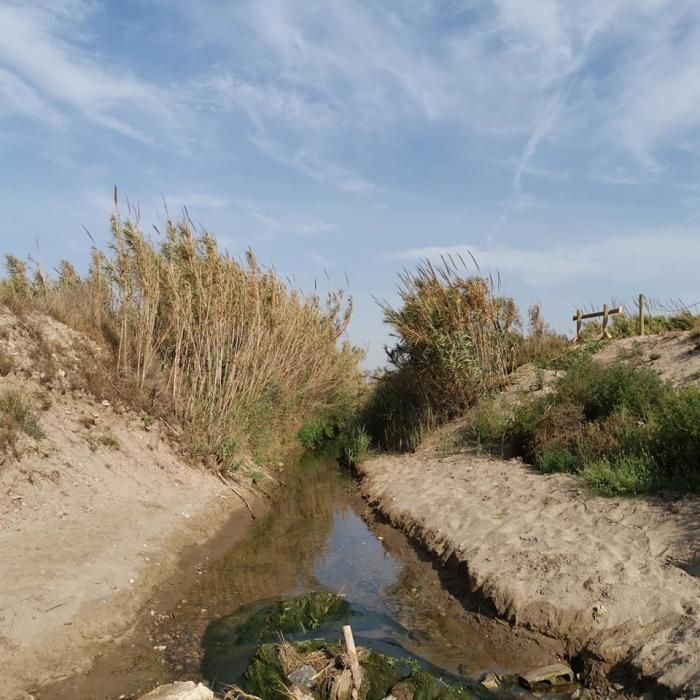 Playa de Alboraia entre la Patacona y el Carraixet