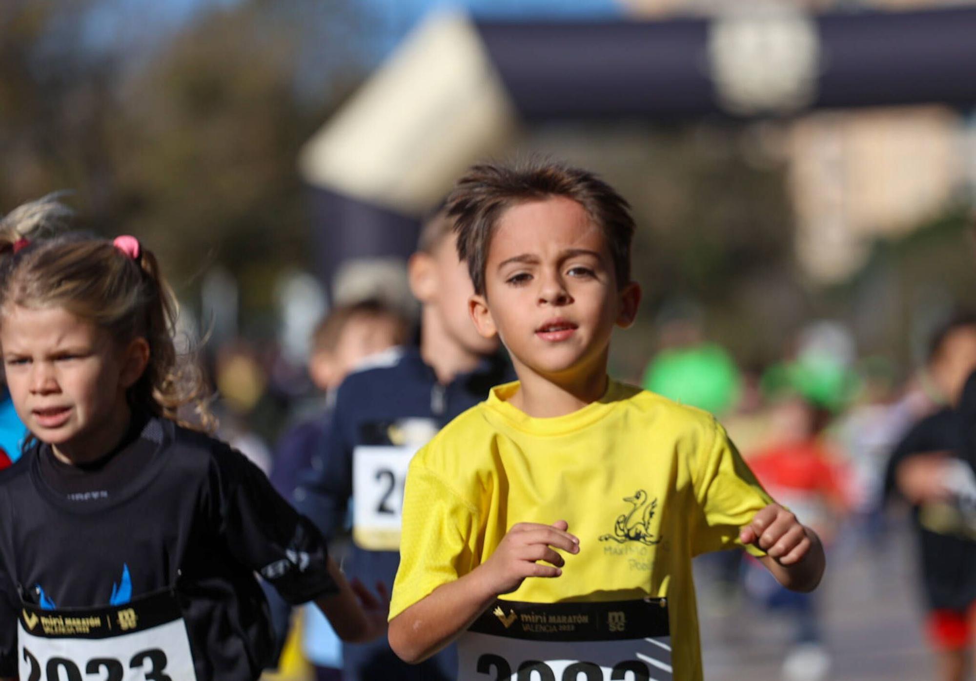 Mini Maratón Valencia MSC