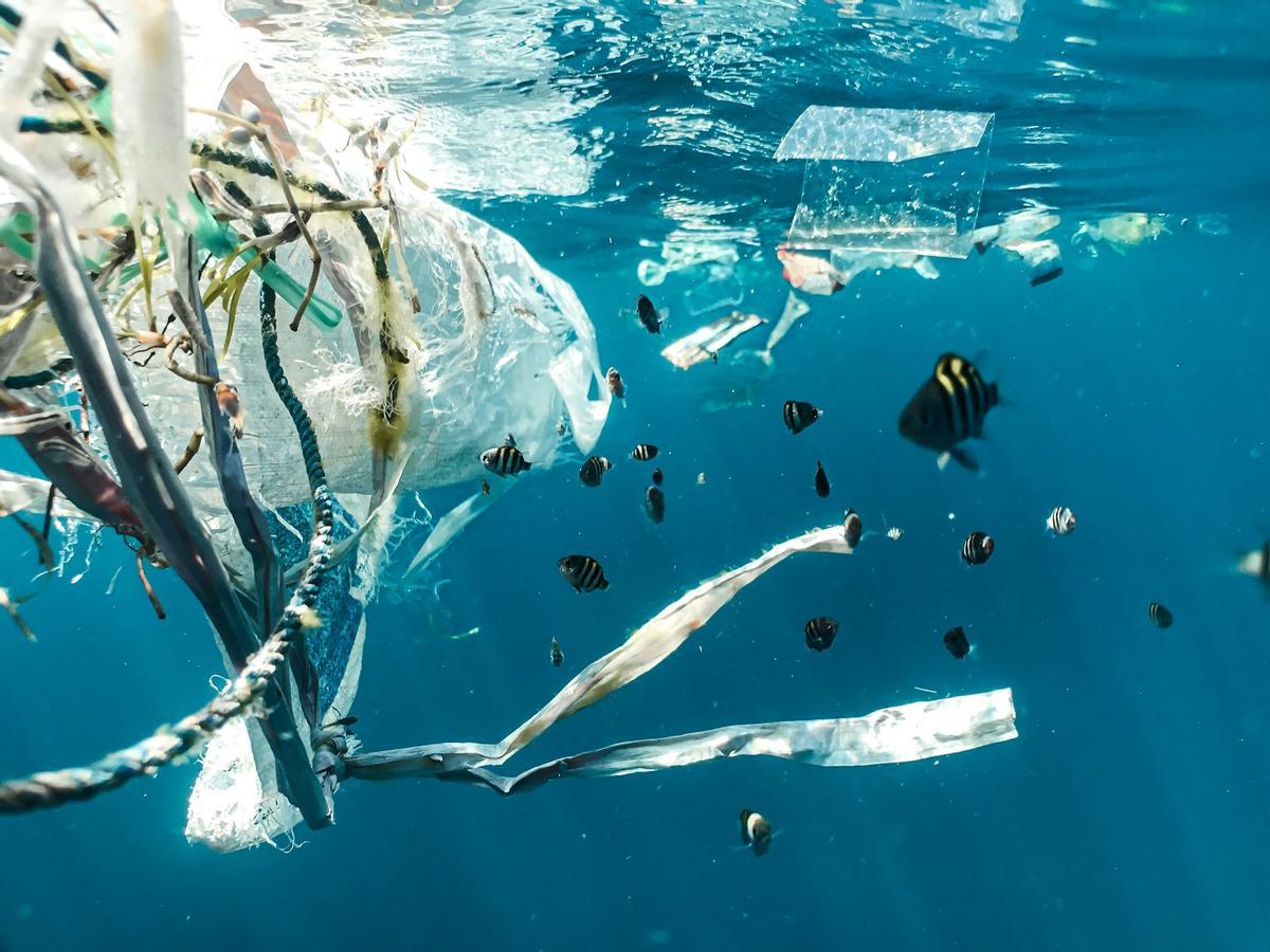 Contaminación plástica en el mar.