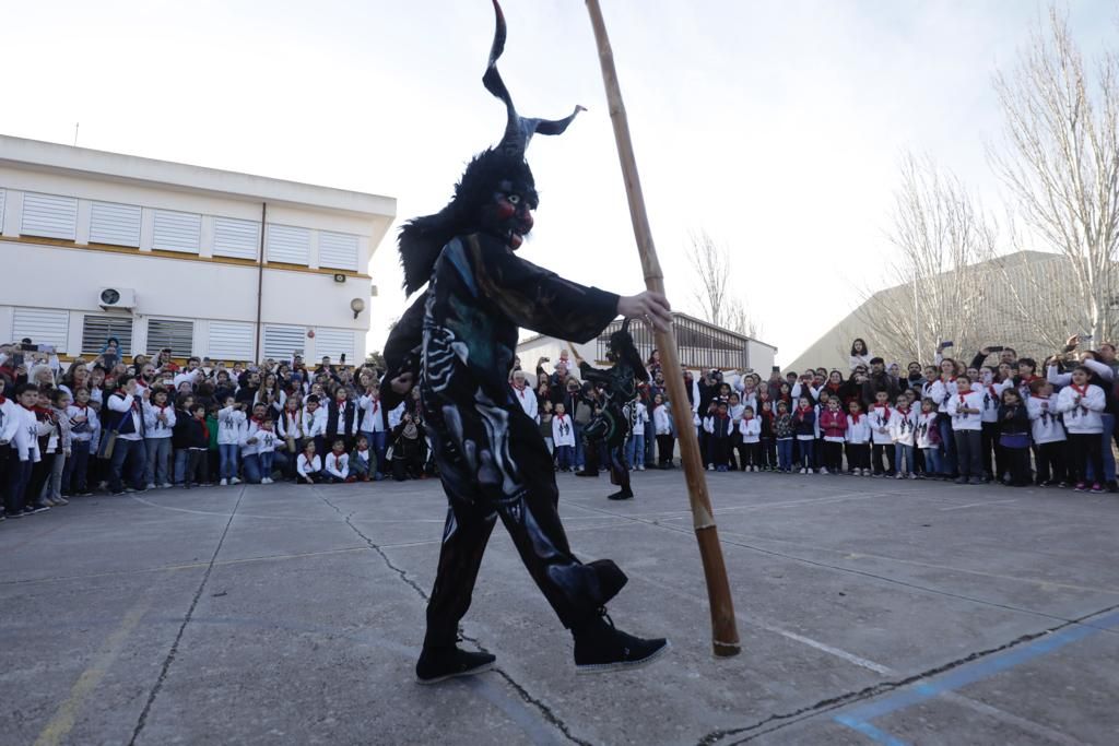 Sant Antoni 2023: Artà descorcha las celebraciones santantonieres