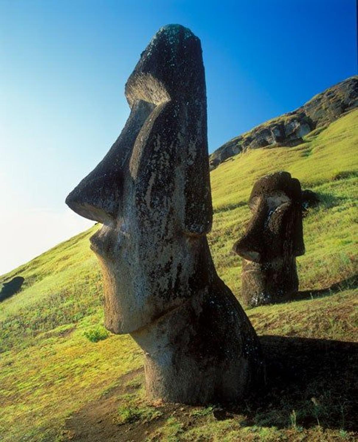La Isla de Pascua es la encargada de acoger a los famosos moais, estatuas creadas por los habitantes primitivos de la isla.
