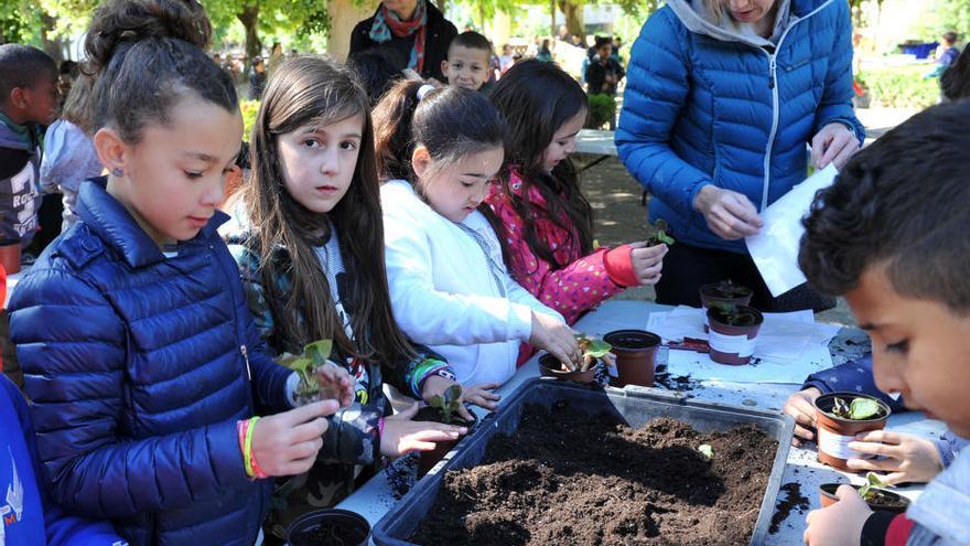 L&#039;any passat, la festa va celebrar els cent anys