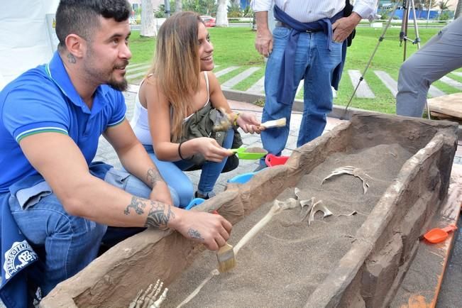 MINIFERIA SEMANA DE LA CIENCIA