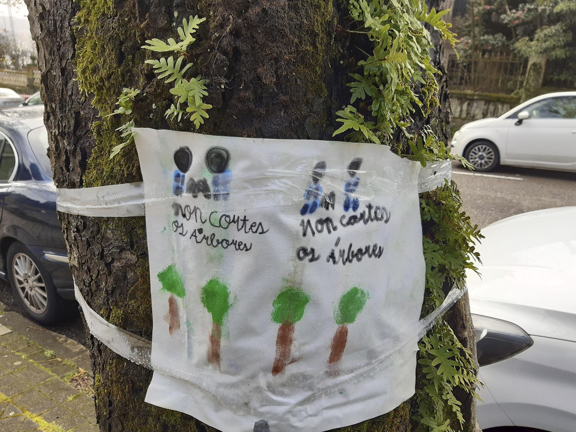 "¡Viva Vigo con árbores!": campaña vecinal contra las talas