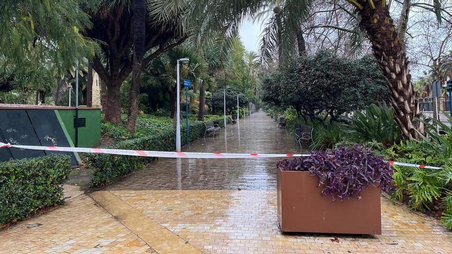 Málaga se paraliza durante la borrasca Leonardo: cierran parques y equipamientos culturales, sociales y deportivos