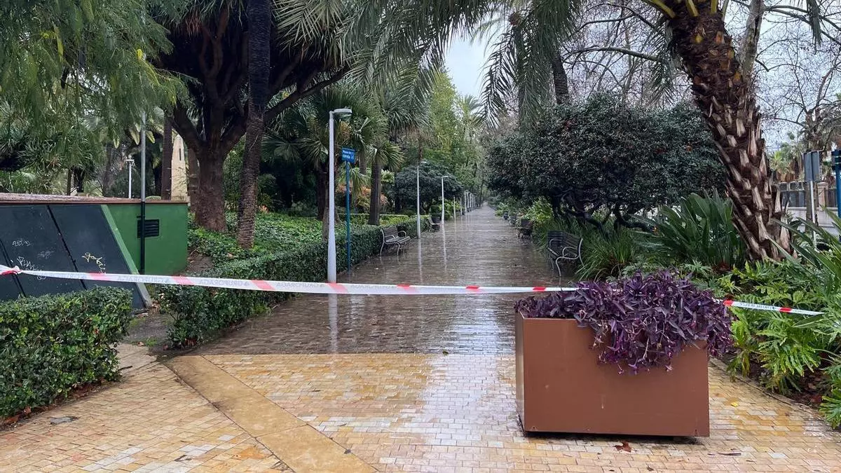 Málaga se paraliza durante la borrasca Leonardo: cierran parques y equipamientos culturales, sociales y deportivos