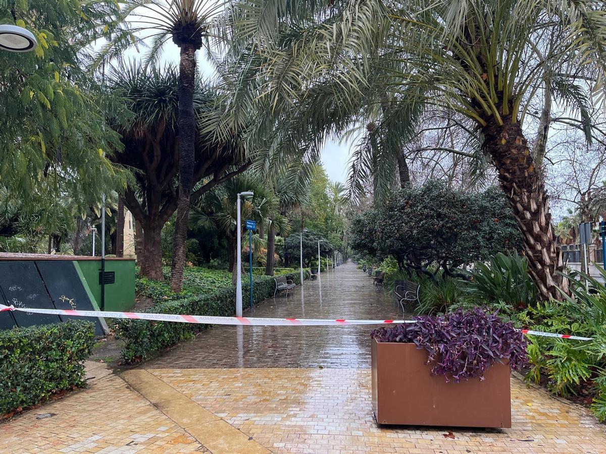 Cierre del Paseo de España para evitar accidentes por caída de ramas durante la borrasca Leonardo.