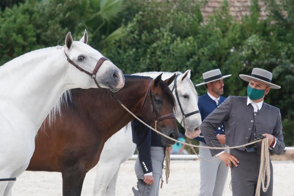 Cabalcor desafía a la lluvia