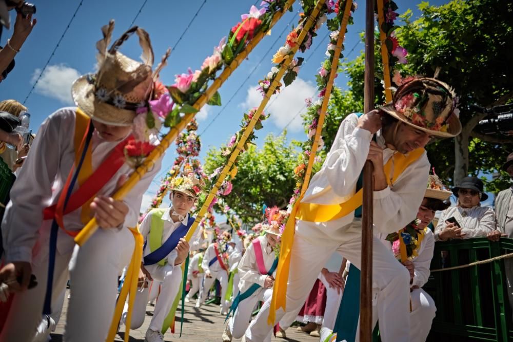 Romería de Tegueste, mayo de 2019