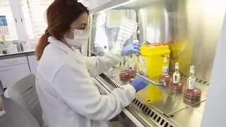 El Hospital de Alicante lidera en España la lucha contra las infecciones por superbacterias