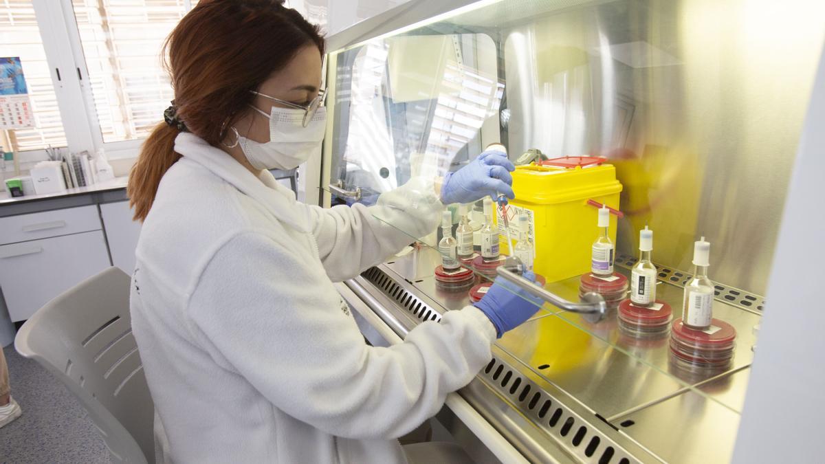 Laboratorio de Microbiología del Hospital de Alicante