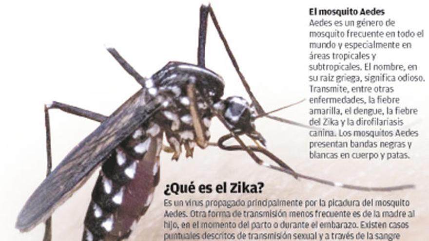 Zika, el virus benigno que asusta al mundo