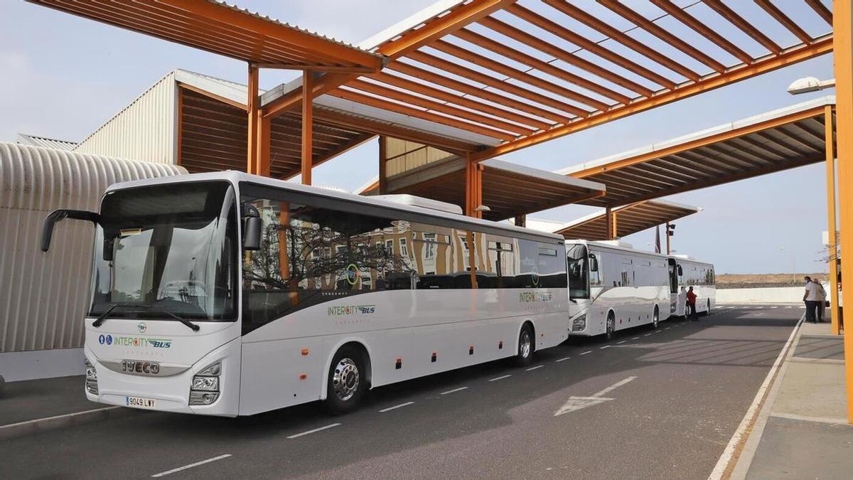 Guaguas del transporte público interurbano en el intercambiador ubicado junto al Cabildo de Lanzarote, en Arrecife.