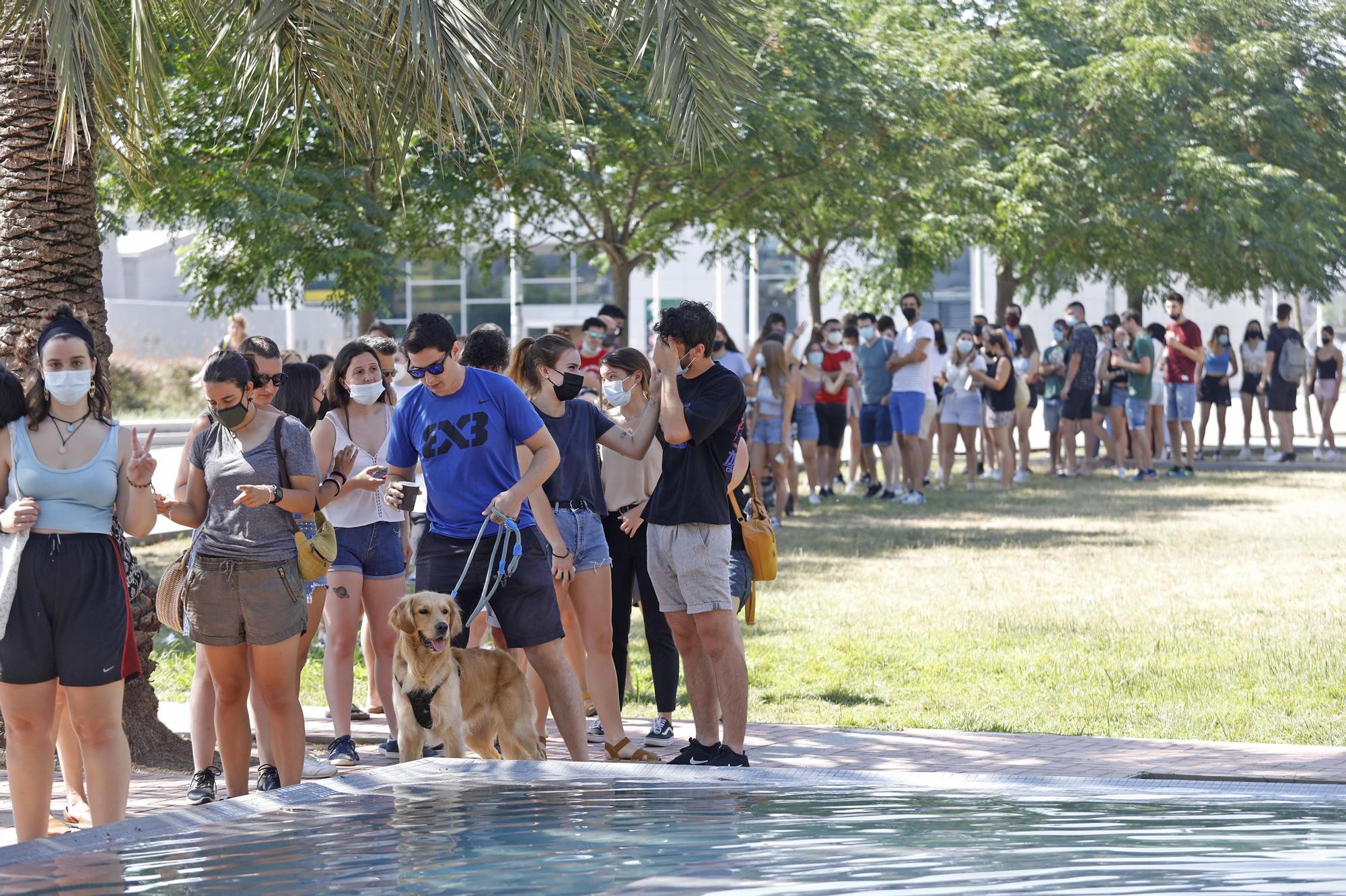 Cues a Girona per a fer-se el test i assistir al Canet Rock