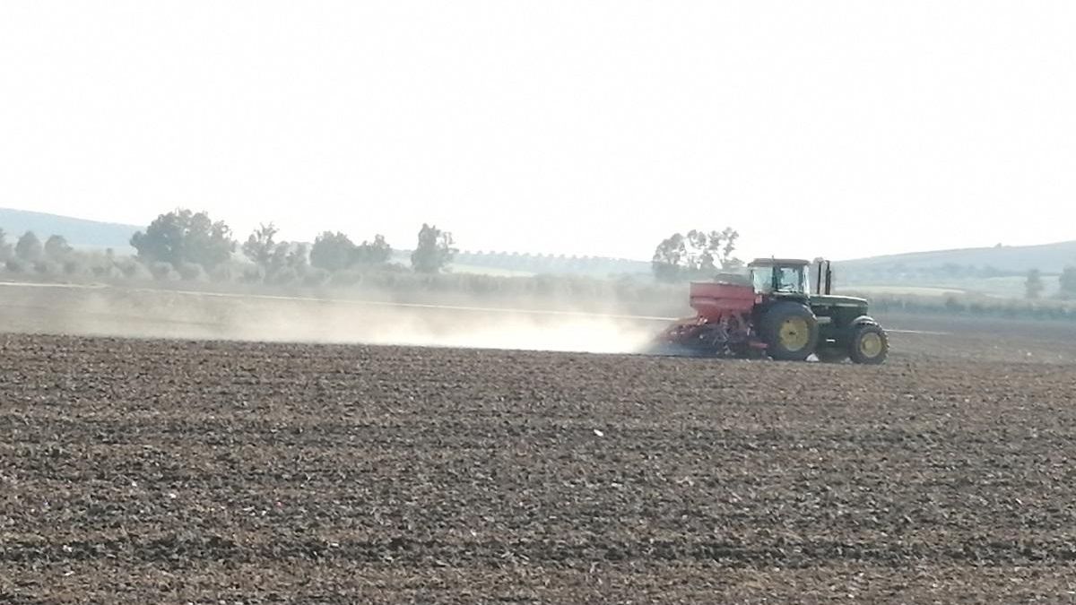 Un tractor en el campo.