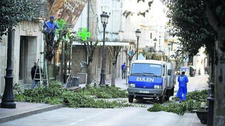 Trabajadores de Eulen realizan podas de árboles en la calle Joaquín Loriga.  // Bernabé/Gutier