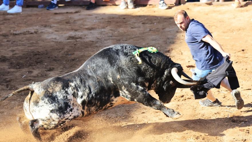 Las fotos de la tarde taurina del lunes de fiestas de Santa Quitèria en Almassora
