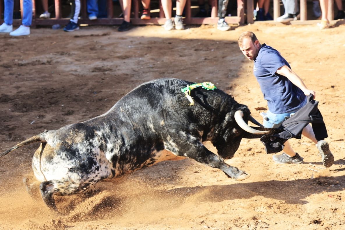 Las fotos de la tarde taurina del lunes de fiestas de Santa Quitèria en Almassora