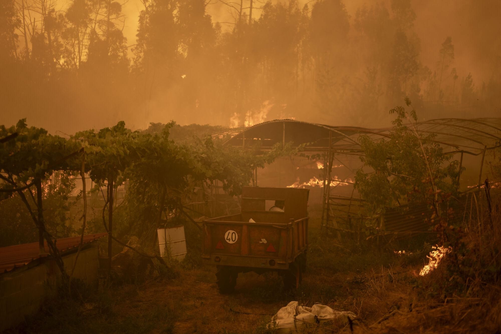 CARBALLEDA DE AVIA (OURENSE), 17/08/2025.- Vista del incendio forestal de Carballeda de Avia (Ourense) este domingo. La ola de incendios que afecta al noroeste de España no da tregua este domingo. Tras una semana de incendios que han causado tres muertos, miles de hectáreas quemadas y miles de desalojados por las llamas, el país se encuentra devastao. En la región de Galicia ardieron ya 50.000 hectáreas y en la de Castilla y León 3.500 personas permanecían fuera de sus hogares. EFE/ Brais Lorenzo