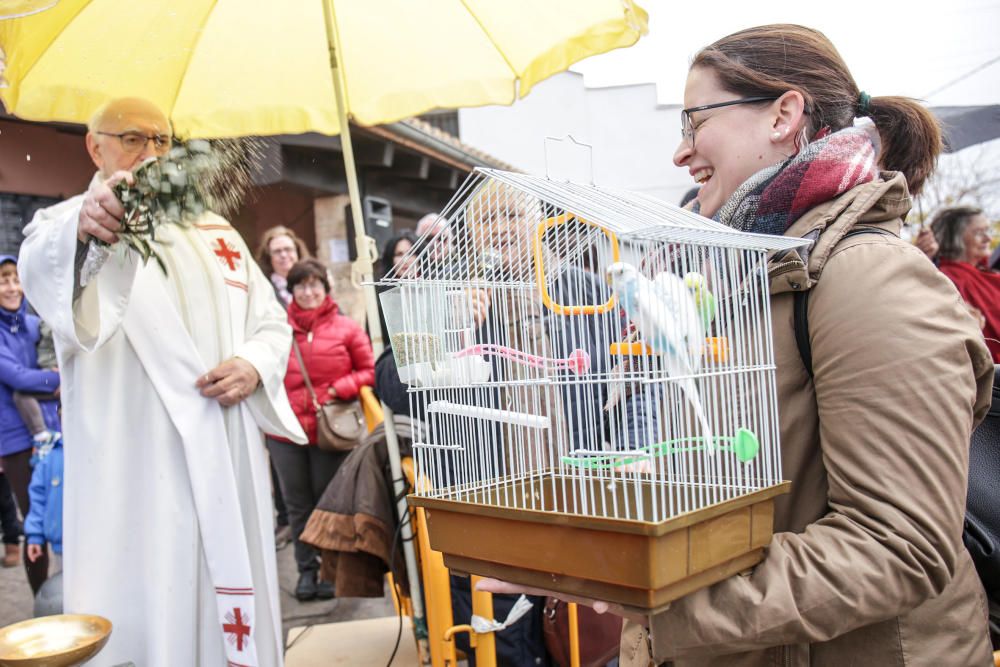 Fiesta de Sant Antoni en la ermita de vera