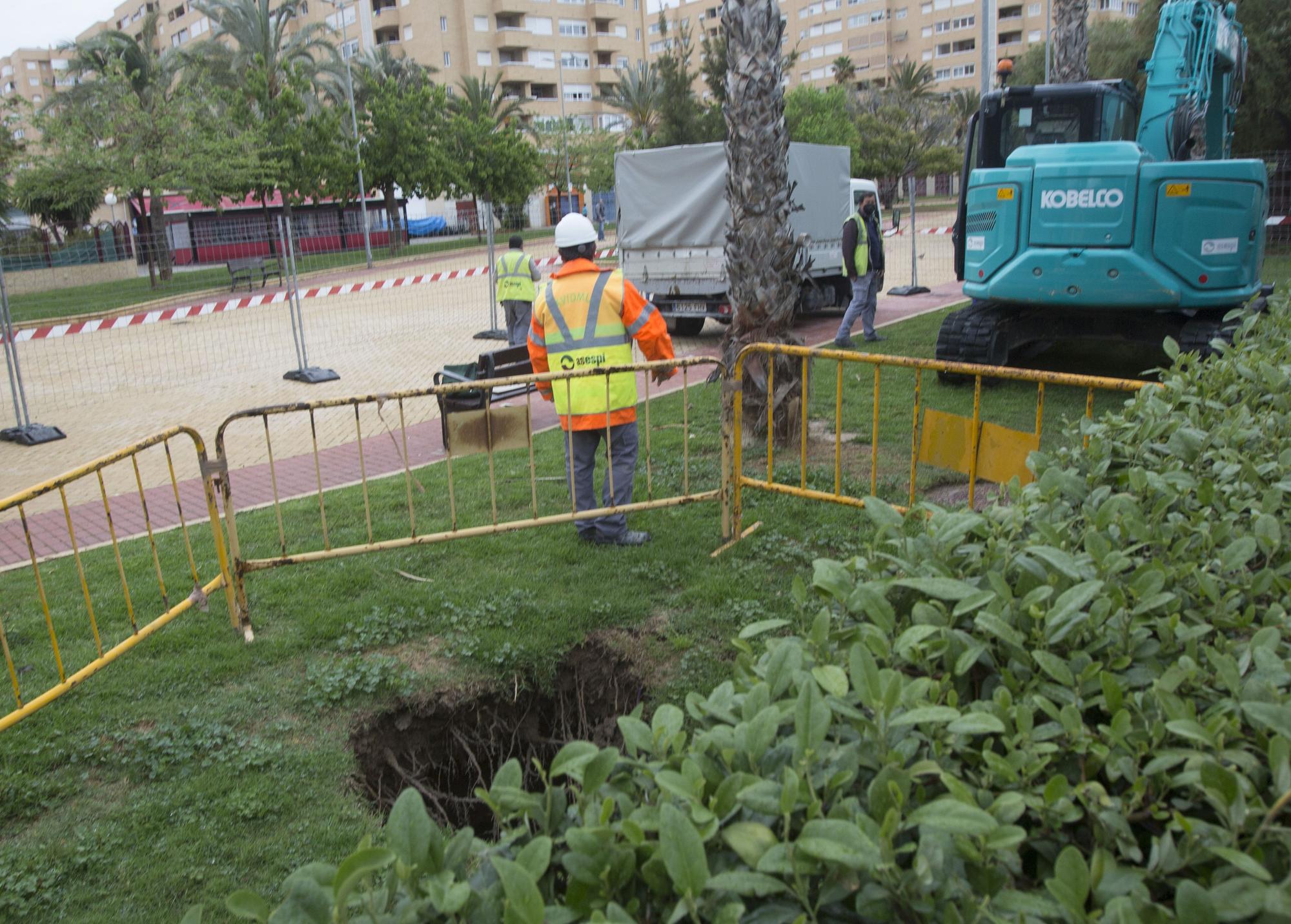 Socavón en el parque Joan Fuster de Alicante por la rotura del colector de aguas que pasa por debajo