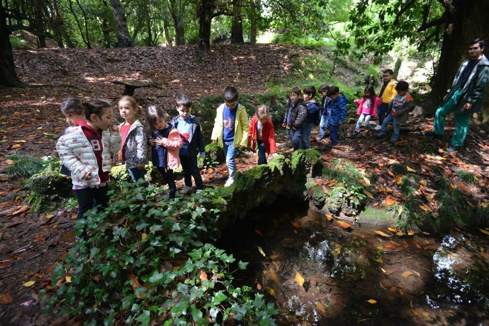 El Jardín Botánico de Lourizán, un pulmón verde