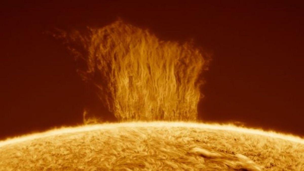 Una cascada de plasma en el Sol, captada el 9 de marzo pasado por un astrofotógrafo argentino.