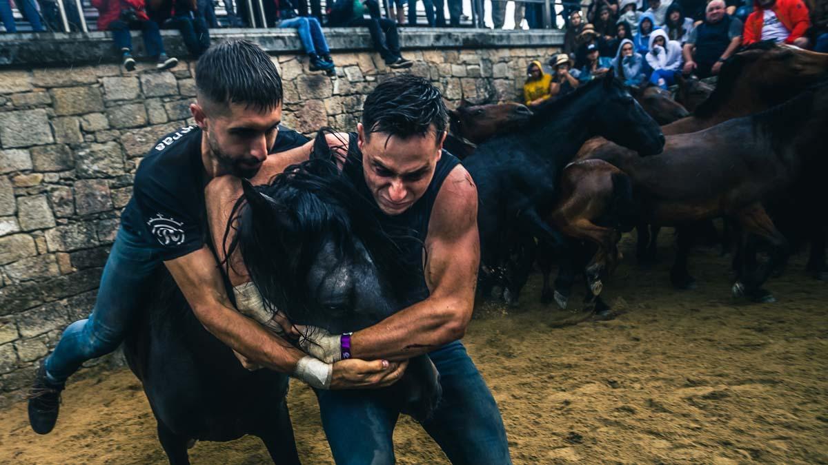 A Rapa das Bestas, primitivo ejercicio de fuerza, pericia y astucia en el que el ser humano trata de doblegar con sus propias manos la voluntad de cientos de caballos salvajes.