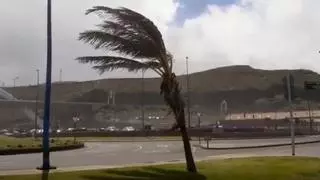 El viento baja de intensidad en Canarias y el aviso pasa a prealerta